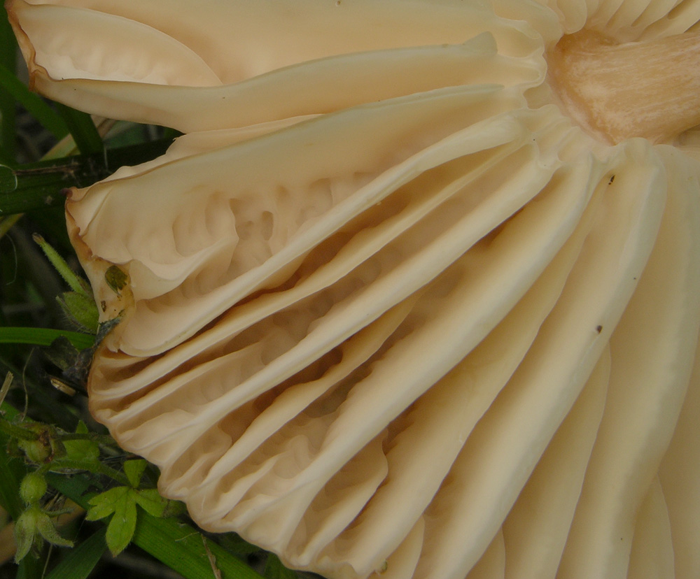 Ritrovamenti 12 giugno 2011.